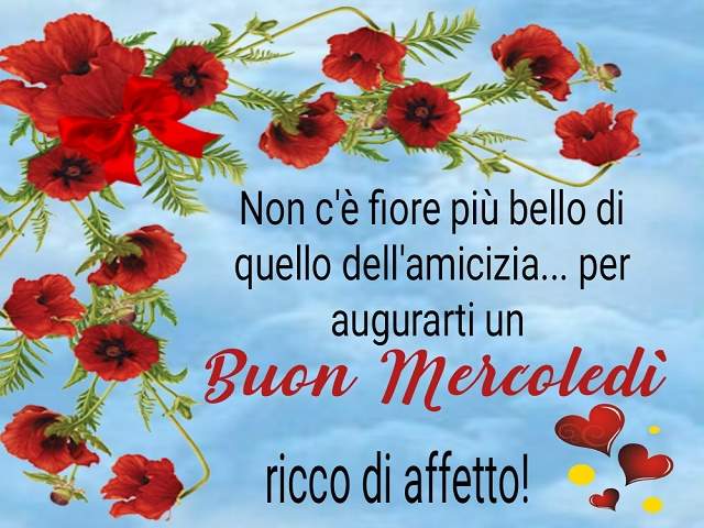 Non c'è fiore più bello di quello dell'amicizia...per augurarti un buon mercoledì ricco d'affetto!