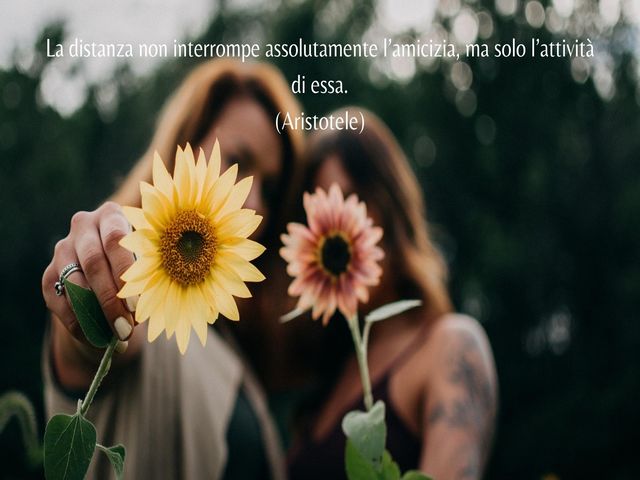 La distanza non interrompe assolutamente l’amicizia, ma solo l’attività di essa.(Aristotele)
