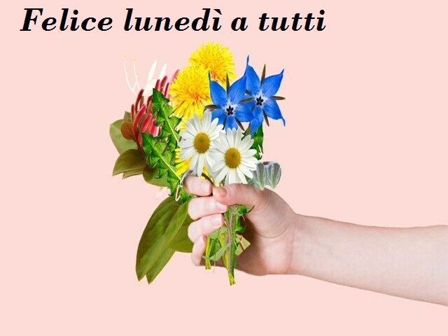 Felice lunedì a tutti