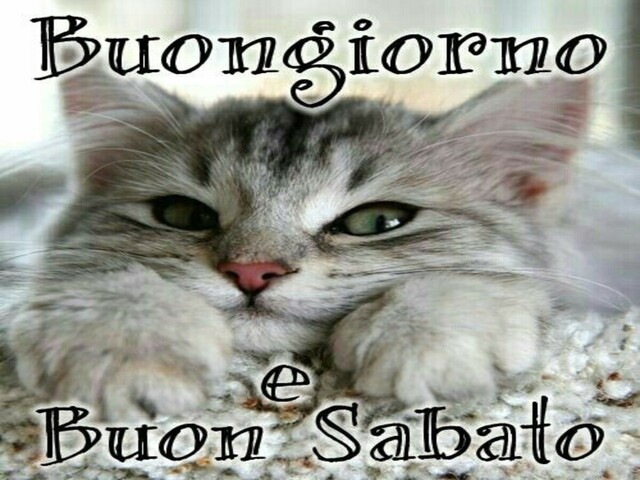 Buongiorno e buon sabato