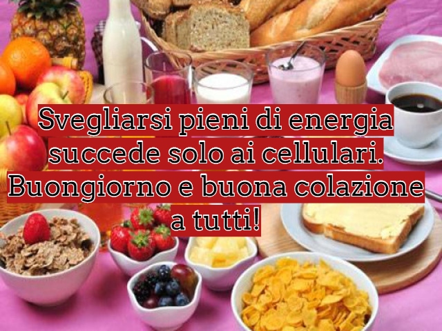 Svegliarsi pieni di energia succede solo ai cellulari. Buongiorno e buona colazione a tutti!