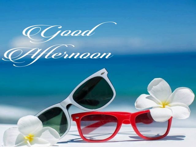 Good afternoon.