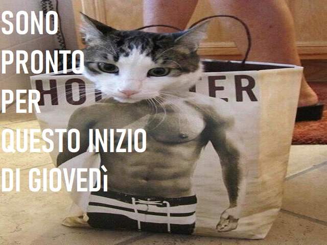 Sono pronto per questo inizio di Giovedì.