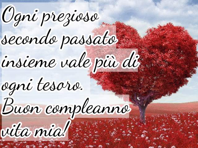 Ogni prezioso secondo passato insieme vale più di ogni tesoro. Buon compleanno vita mia!