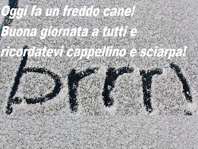 Oggi fa un freddo cane! Buona giornata a tutti e ricordatevi cappellino e sciarpa!