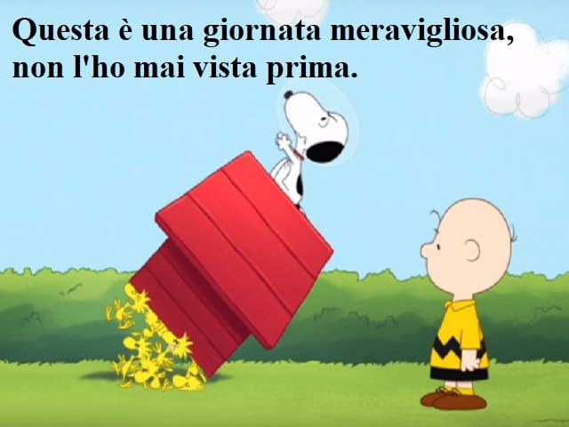Questa è una giornata meravigliosa, non l'ho mai vista prima.
