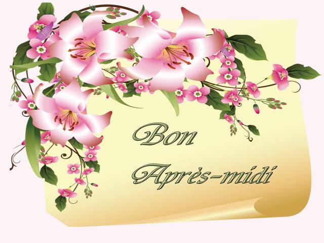 Bon après midi.
