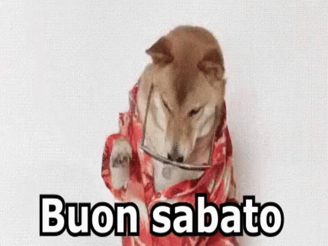 Buon sabato