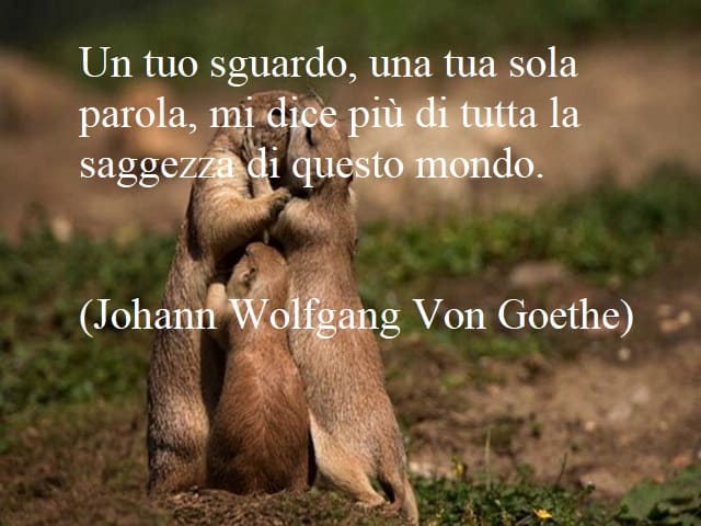 Un tuo sguardo, una tua sola parola, mi dice più di tutta la saggezza di questo mondo.(Johann Wolfgang Von Goethe)
