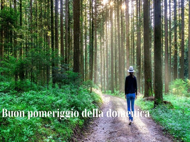 Buon pomeriggio della domenica.