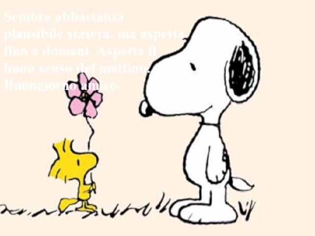 Sembra abbastanza plausibile stasera ma aspetta fino a domani. Aspetta il buon senso del mattina. Buongiorno amico.