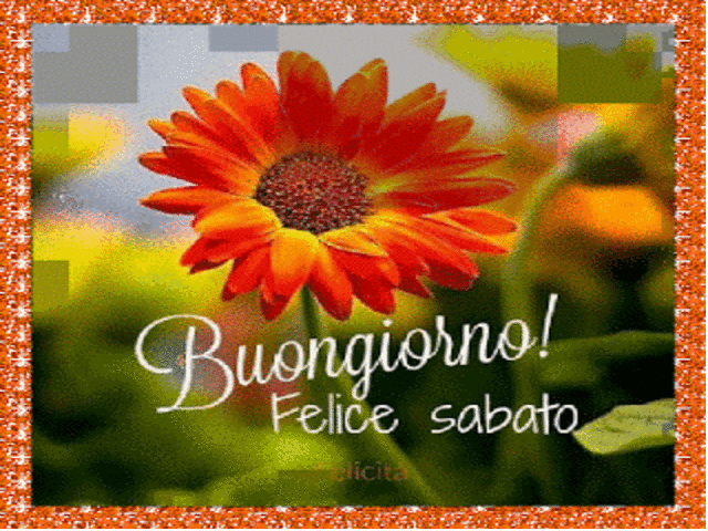 Buongiorno! Felice sabato