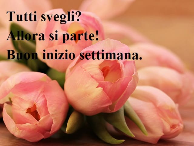 Tutti svegli? Allora si parte! Buon inizio settimana.