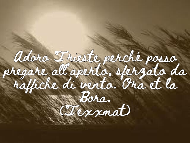 Adoro Trieste perché posso pregare all’aperto, sferzato da raffiche di vento. Ora et la Bora.(Texxmat)
