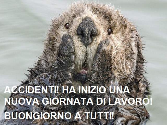 Accidenti! Ha inizio una nuova giornata di lavoro! Buongiorno a tutti!