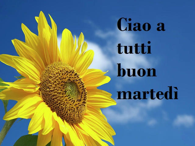 Ciao a tutti buon martedì