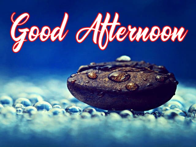 Good afternoon.