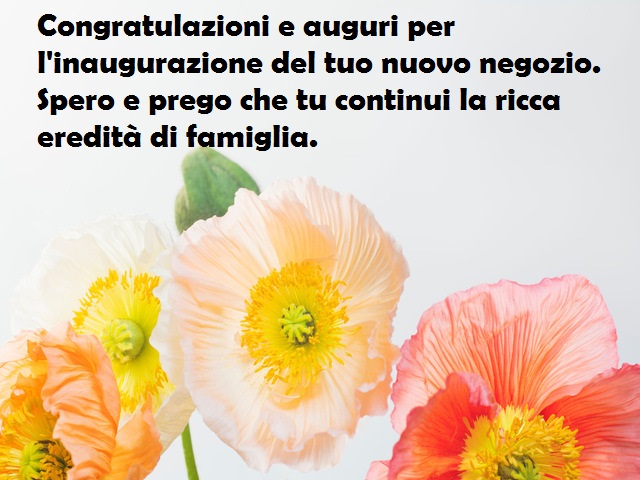 Congratulazioni e auguri per l'inaugurazione del tuo nuovo negozio. Spero e prego che tu continui la ricca eredità di famiglia.