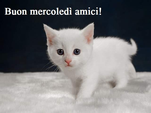 Buon mercoledì amici!