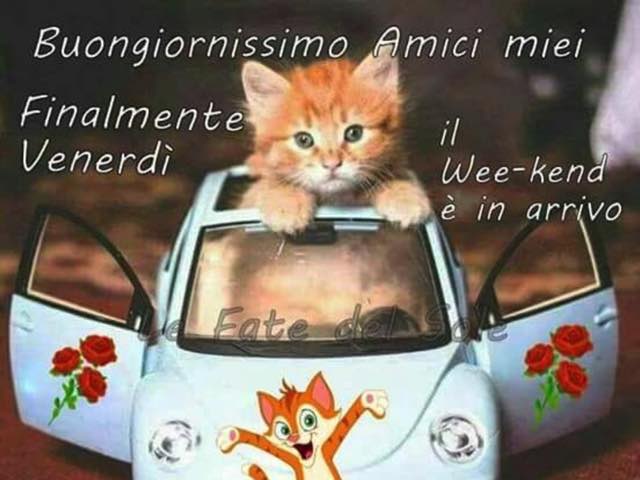 Buongiornissimo amici miei. Finalmente venerdì, il weekend è in arrivo.