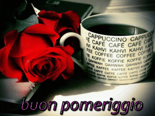 Buon pomeriggio.