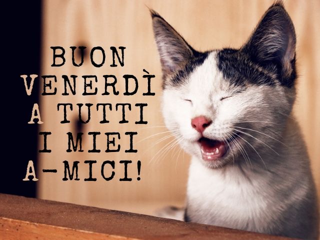 Buon venerdì a tutti i miei a-mici!