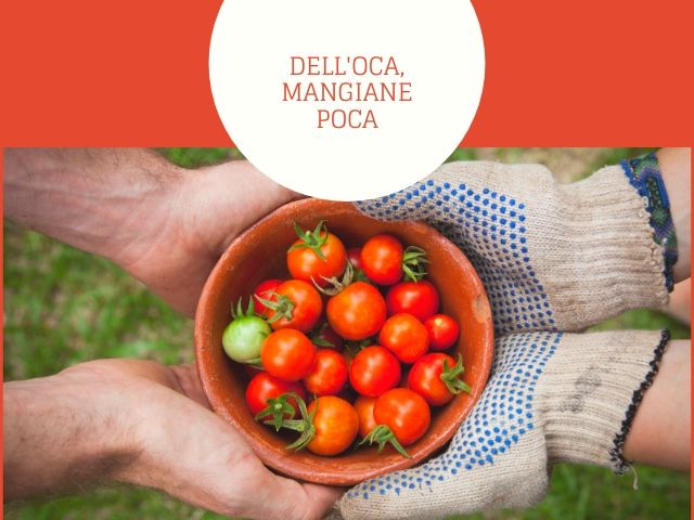 Dell'oca mangiane oca.