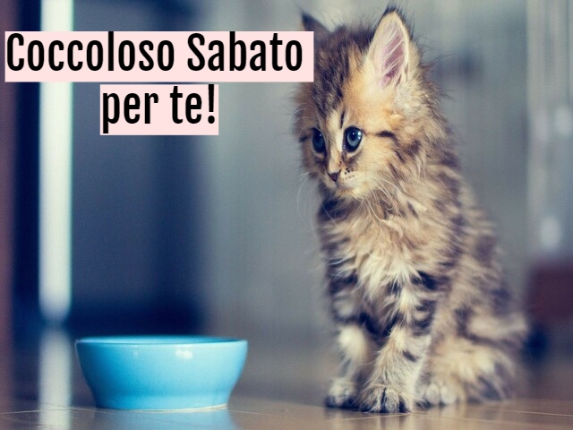 Coccoloso Sabato per te!
