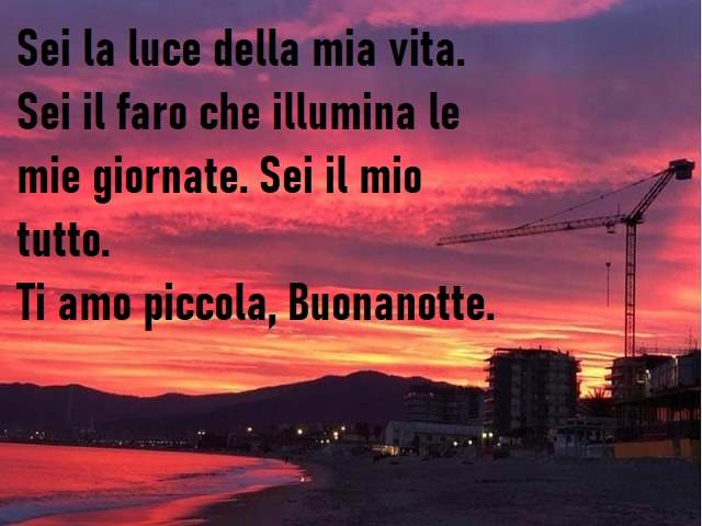 Sei la luce della mia vita. Sei il faro che illumina le mie giornate. Sei il mio tutto. Ti amo piccola. Buonanotte.