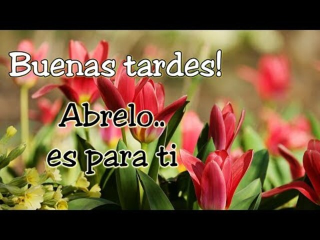 Buenas tardes! Abrelo es para ti. (Buon pomeriggio, apri è per te).