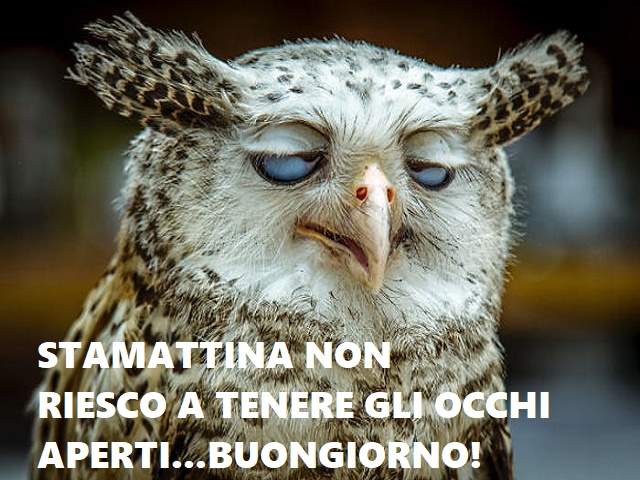 Stamattina non riesco a tenere gli occhi aperti...buongiorno!