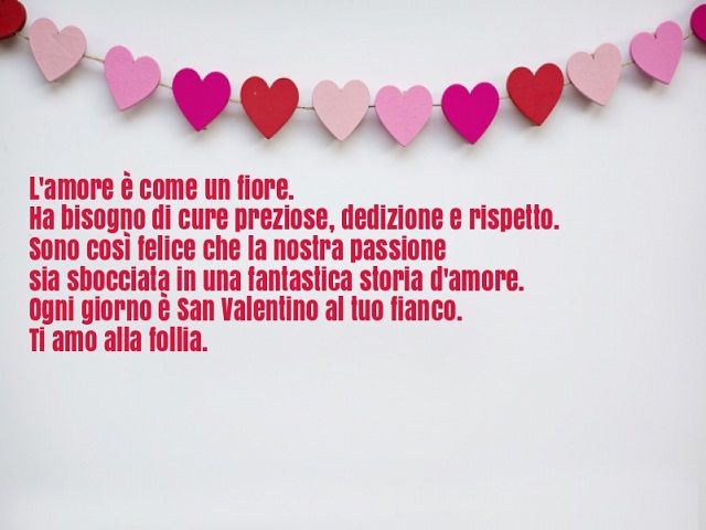 L'amore è come un fiore. Ha bisogno di cure preziose, dedizione e rispetto. Sono così felice che la nostra passione sia sbocciata in una fantastica storia d'amore. Ogni giorno è San valentino al tuo fianco. Ti amo alla follia.