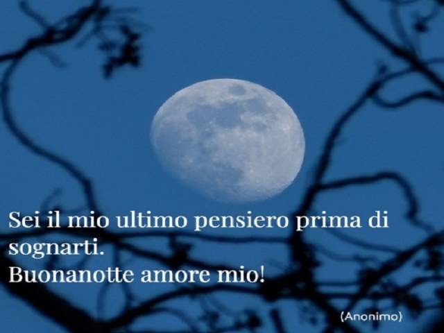 Sei il mio ultimo pensiero prima di sognarti. Buonanotte amore mio!(anonimo)
