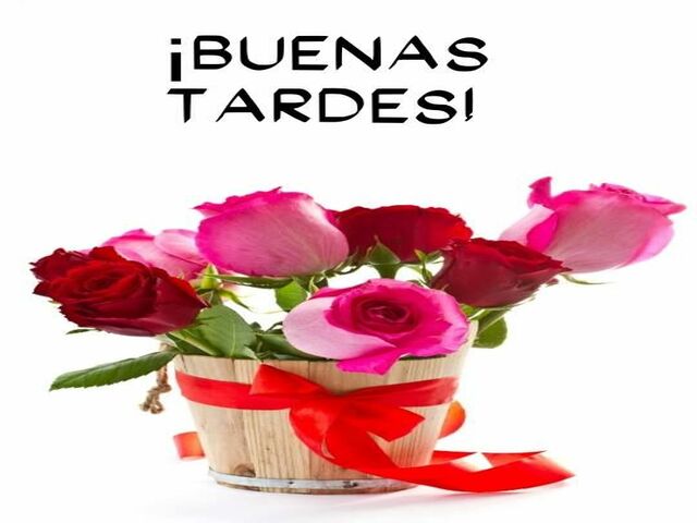 Buenas tardes!