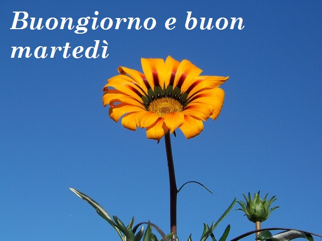 Buongiorno e buon martedì