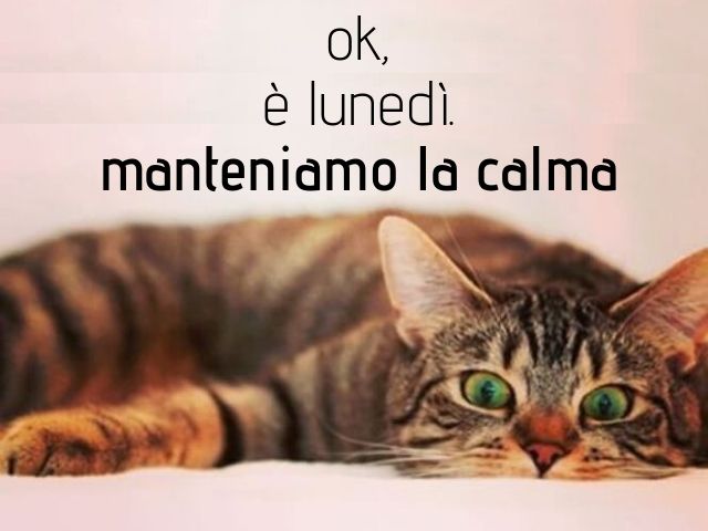 ok è lunedì. Manteniamo la calma.