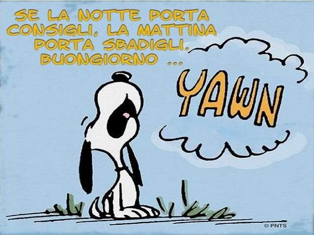 Se la notte porta consigli, la mattina porta sbadigli. Buongiorno....