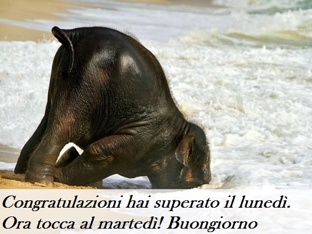 Congratulazioni hai superato il lunedì. Ora tocca al martedì! Buongiorno