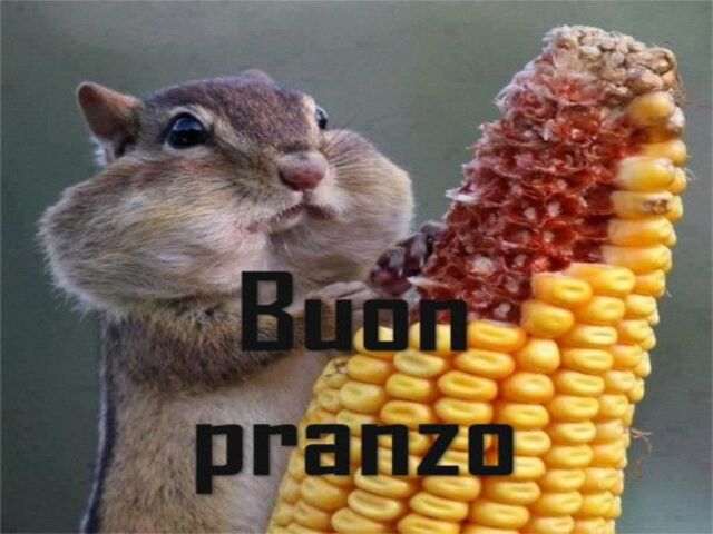 Buon pranzo