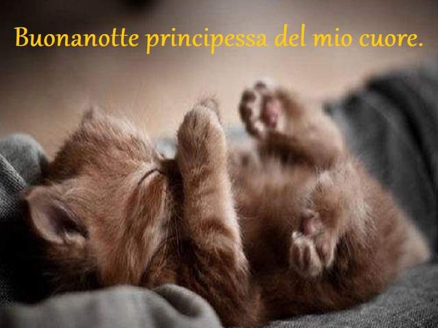 Buonanotte principessa del mio cuore!