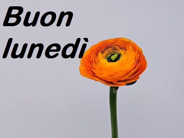 Buon lunedì