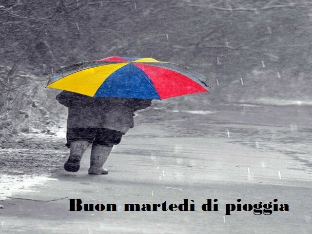 Buon martedì di pioggia