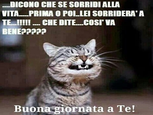 ...Dicono che se sorridi alla vita... prima o poi... lei sorriderà a te...!!! ...che dirte... così va bene????? Buona giornata a te!