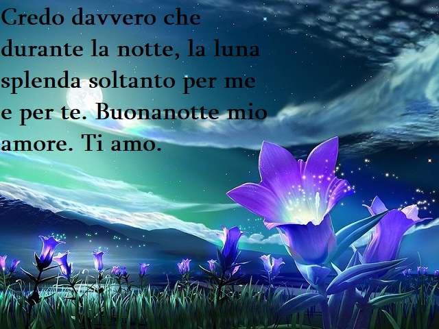Credo davvero che durante la notte, la luna splenda soltanto per me e per te. Buonanotte mio amore. Ti amo.
