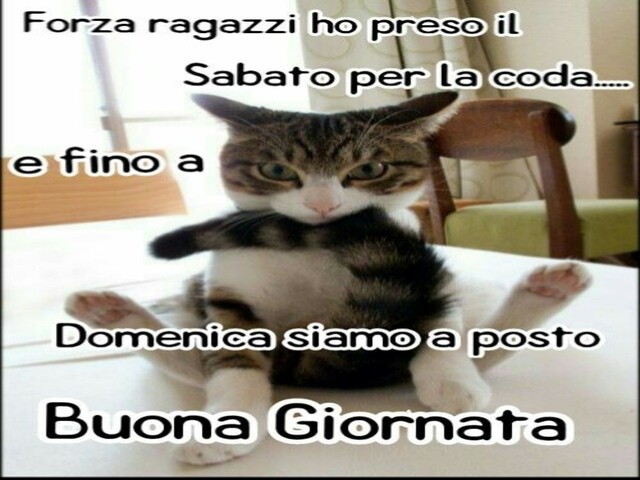 Forza ragazzi ho preso il Sabato per la coda e fino a Domenica siamo a posto. Buona giornata