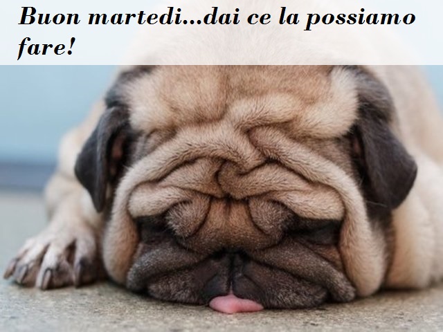 Buon martedì...dai ce la possiamo fare!