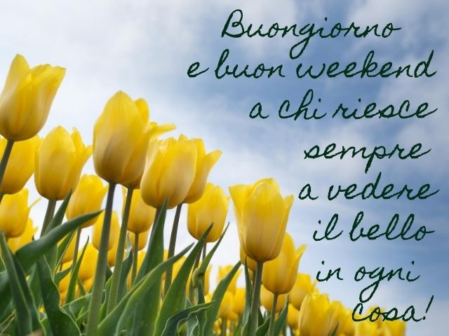 Buongiorno e buon weekend a chi riesce sempre a vedere il bello in ogni cosa!