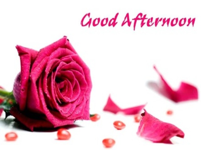 Good afternoon.