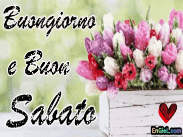 Buongiorno e buon sabato
