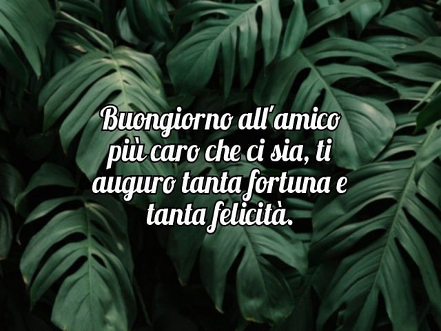 Buongiorno all'amico più caro che ci sia, ti auguro tanta fortuna e tanta felicità.